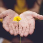 How to Be an Authentic Giver