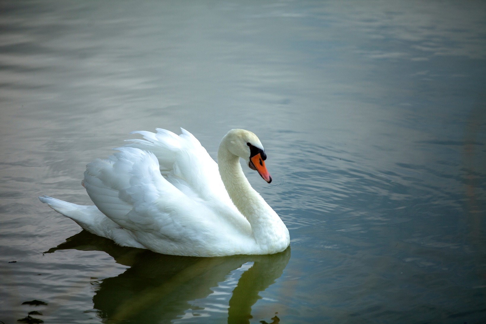 You are currently viewing Simple things to do to Calm  Anxiety